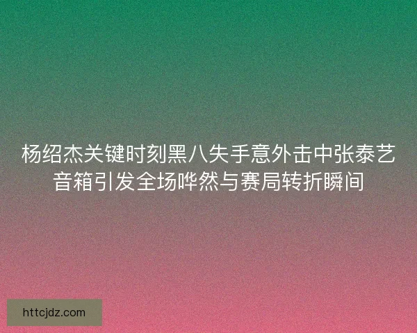 杨绍杰关键时刻黑八失手意外击中张泰艺音箱引发全场哗然与赛局转折瞬间